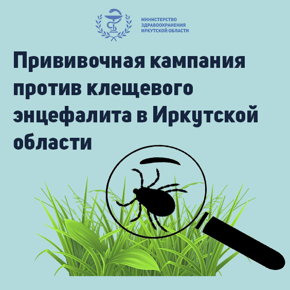 прививочная кампания против клещевого энцефалита в иркутской области