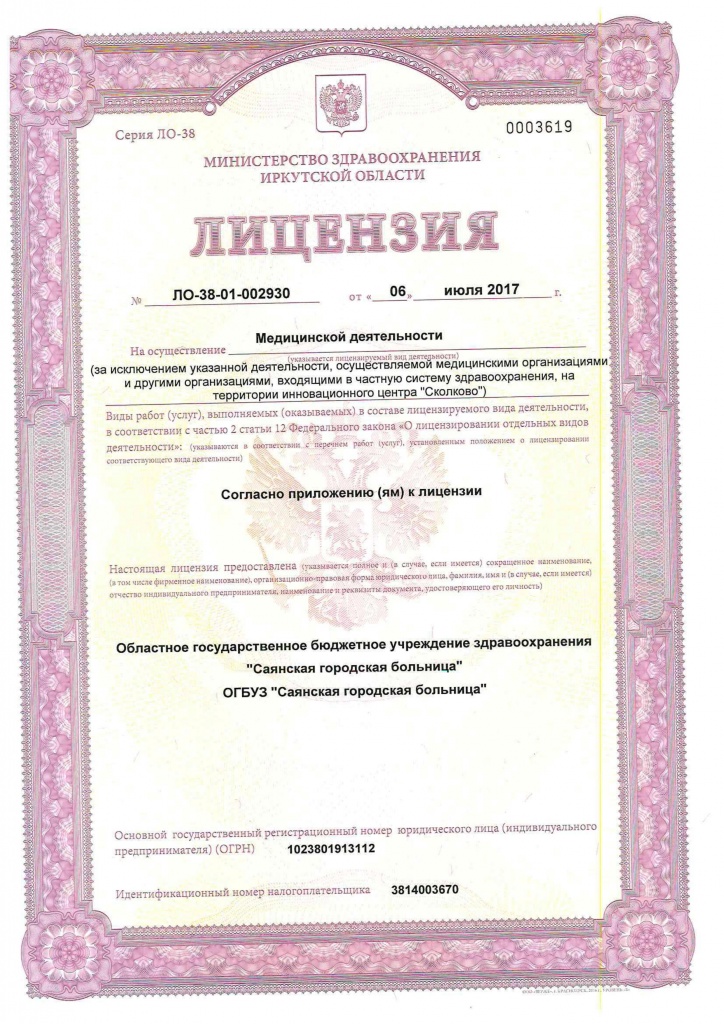 Лицензия дпг.jpg