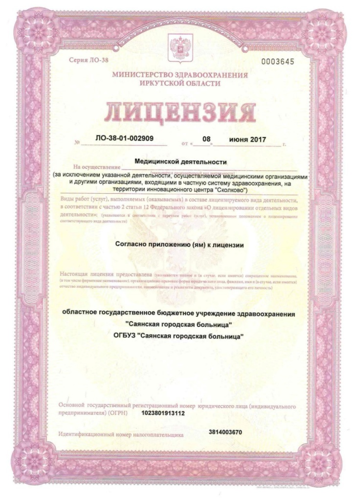 Лицензия 1.jpg